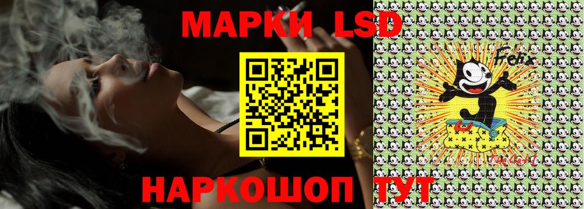 Наркотические марки 1,5мг  Вход с VPN  цены наркотик  Камышлов 