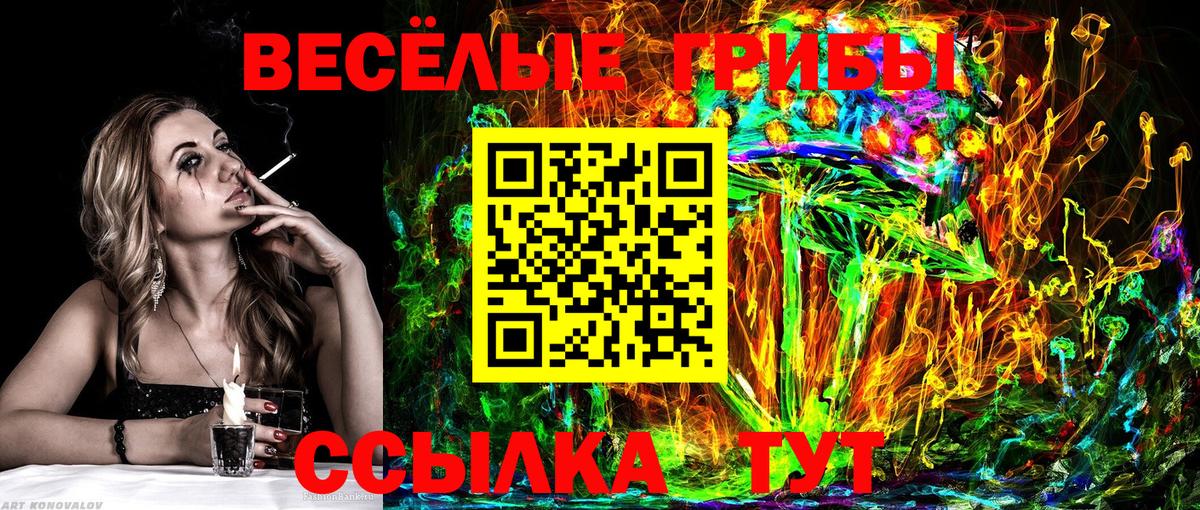 Псилоцибиновые грибы прущие грибы Камышлов