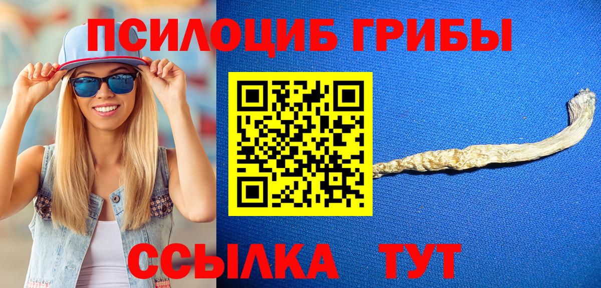 Псилоцибиновые грибы Cubensis  Вход с VPN  Камышлов 